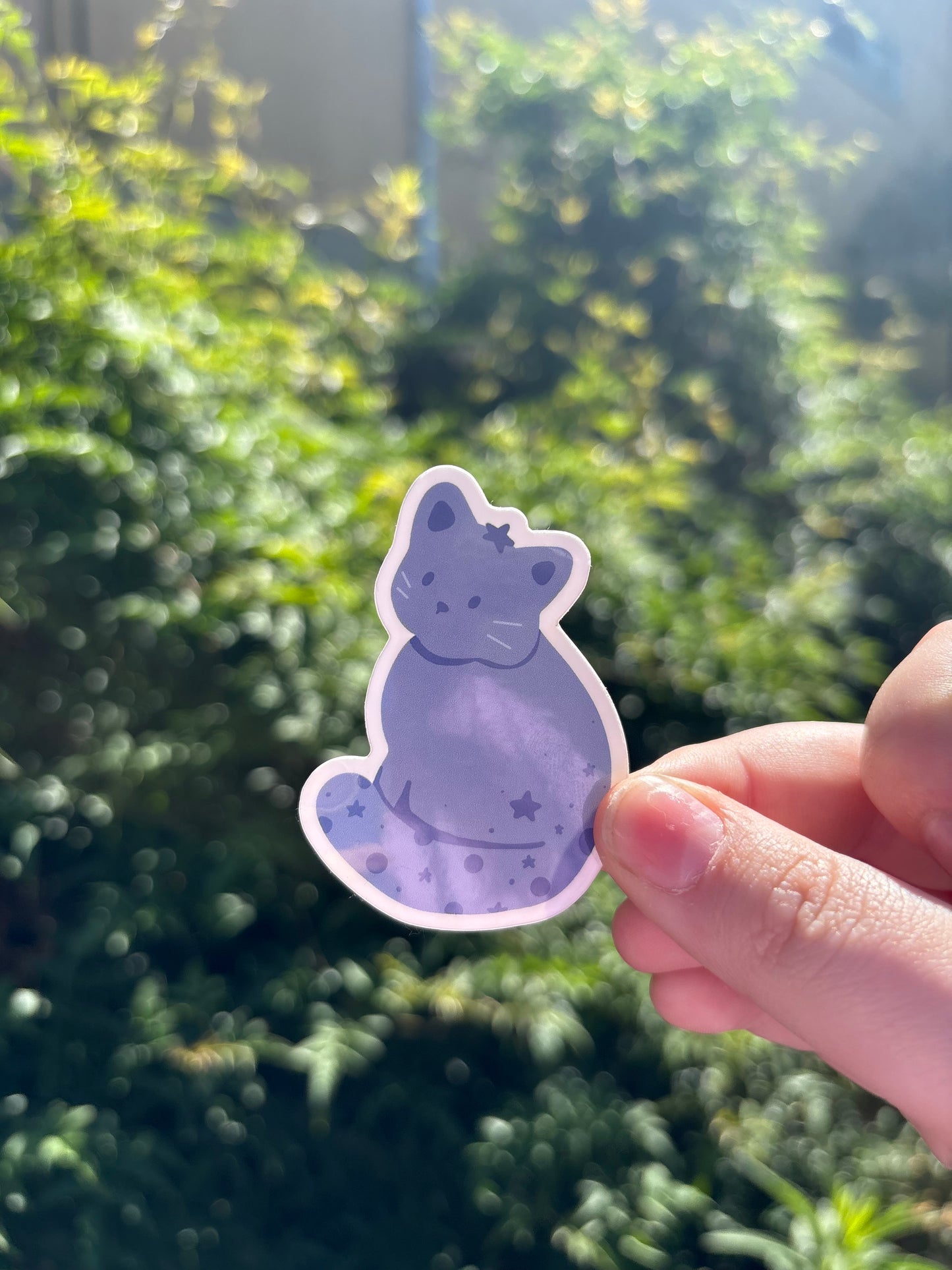 Fruit Kitty Blueberry Sticker