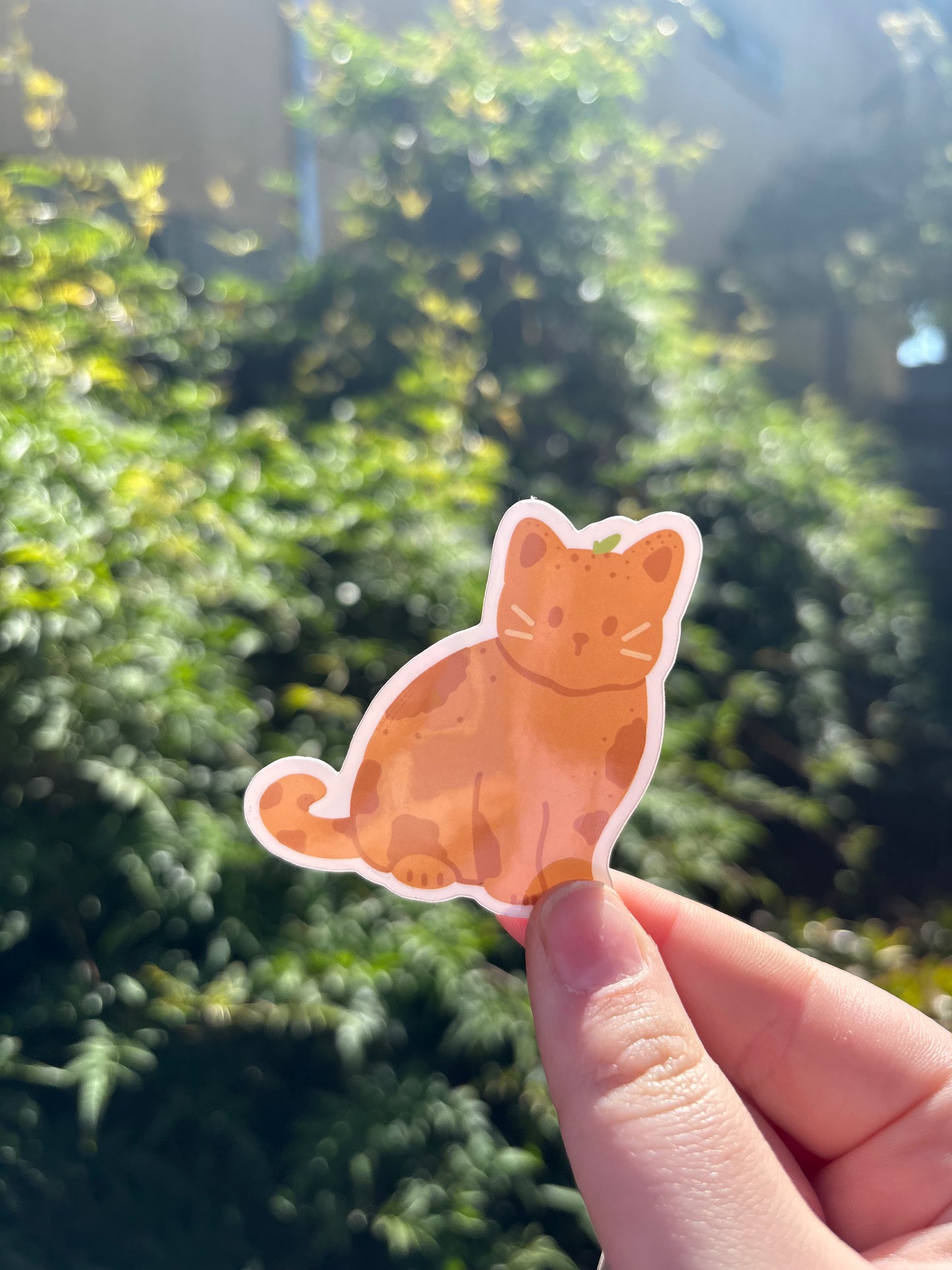 Fruit Kitty Orange Sticker