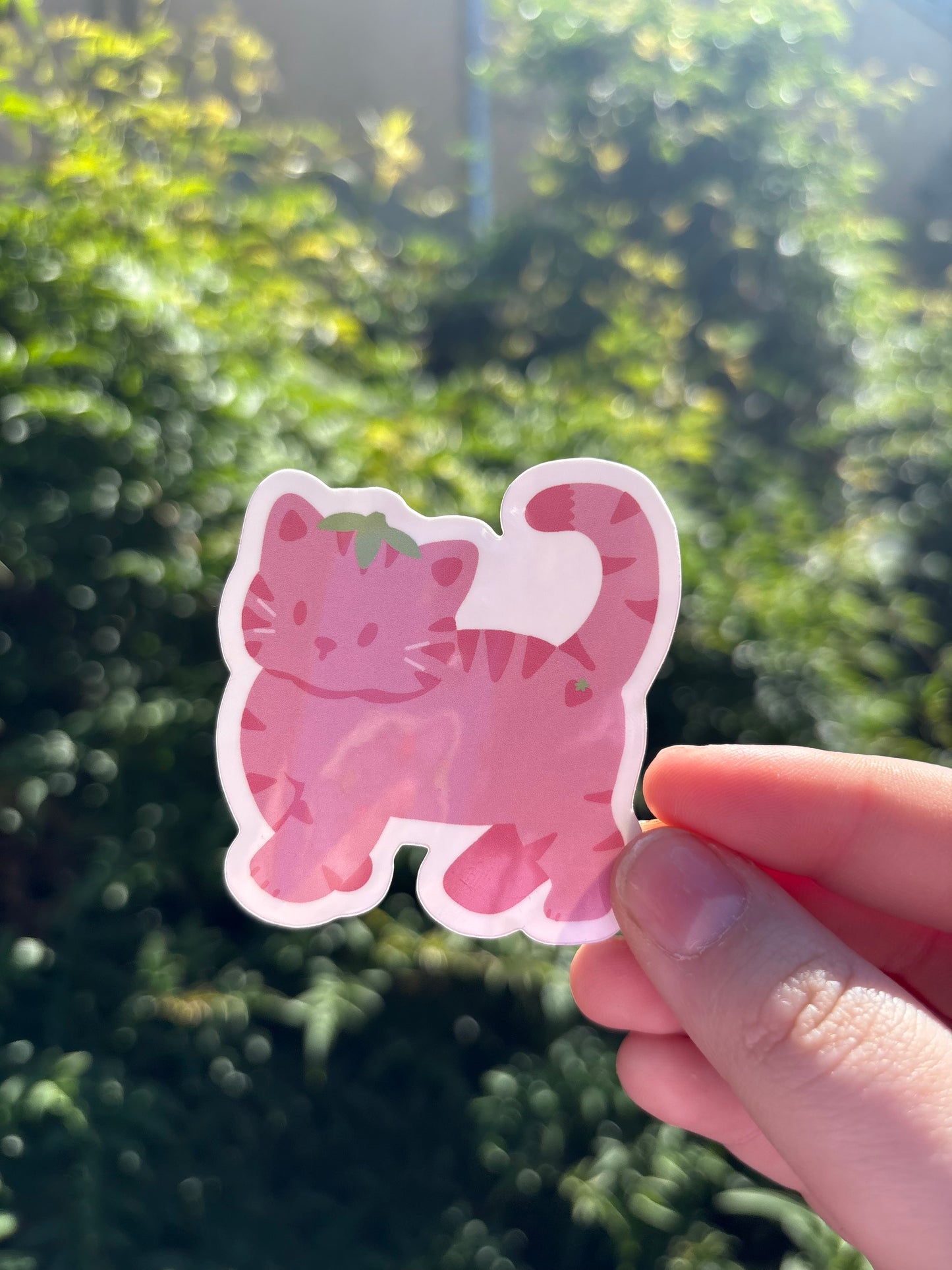 Fruit Kitty Strawberry Sticker